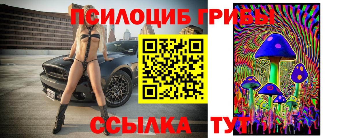 Псилоцибиновые грибы Psilocybine cubensis  Вход с VPN  Ростов-на-Дону 