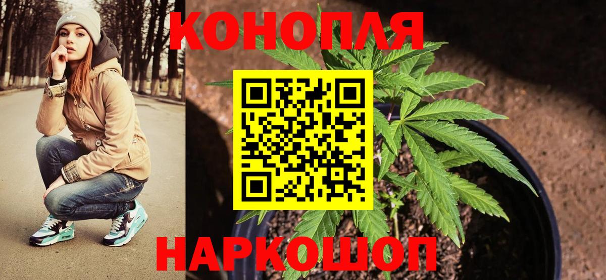 Бошки Шишки Ganja  Канабис план  Ростов-на-Дону  Конопля Amnesia  Вход с VPN 
